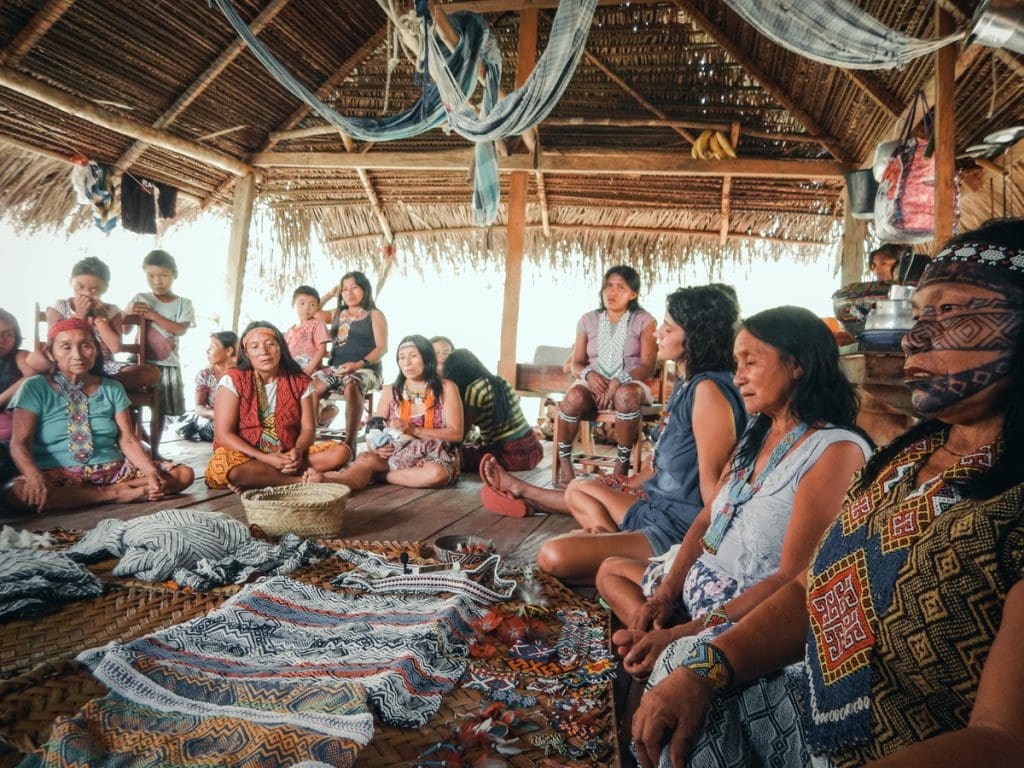 Projekt Landkauf Amazonas